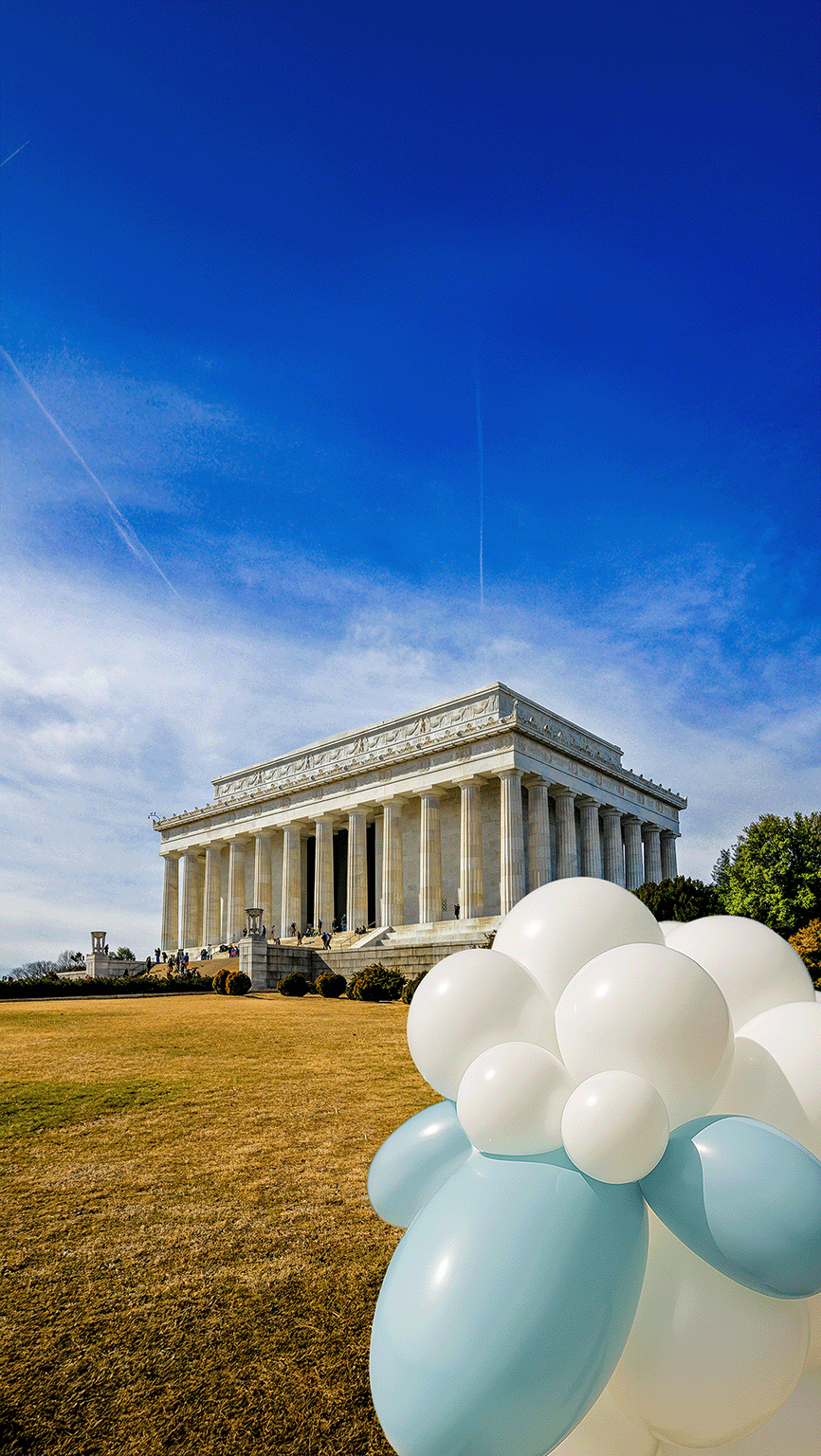 What We Govern: The 5 Pillars